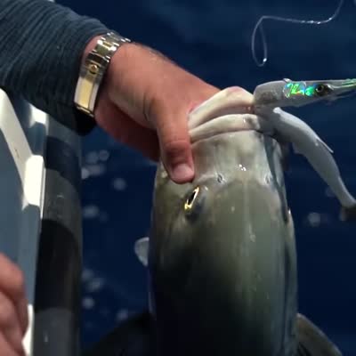 Savage Gear 3D Needlefish Pulsetail 2+1 14cm 12g Green