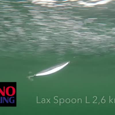 12g 115mm Rhino Lax Spoon L lançon 1 pièce