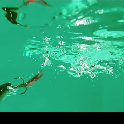 Rapala X-Rap Pop 7cm Moss Back Shiner surface bait