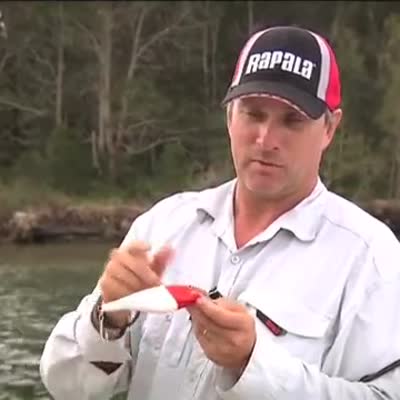 Rapala Super Shad Rap Floating 14cm Redfin Shiner 1,50-2,70 m